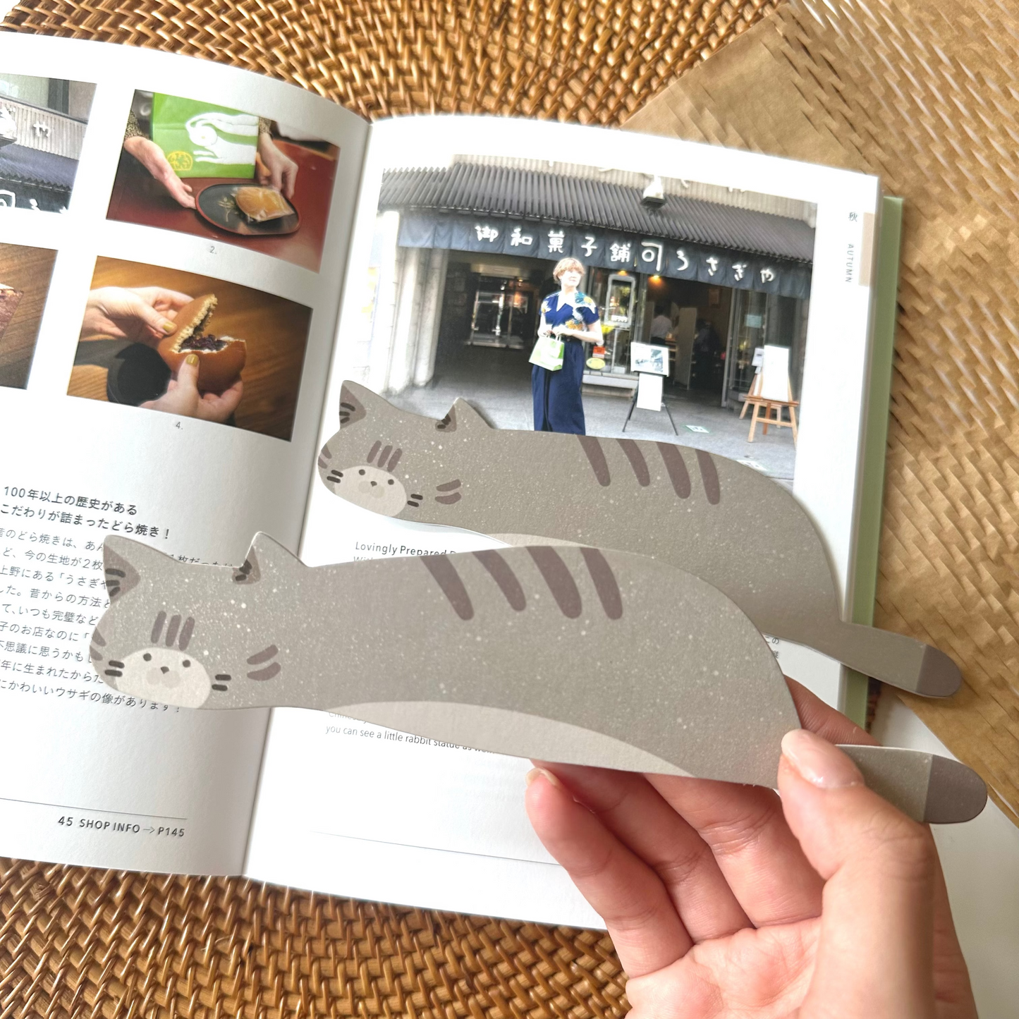 Bookmark - Tabby Cat