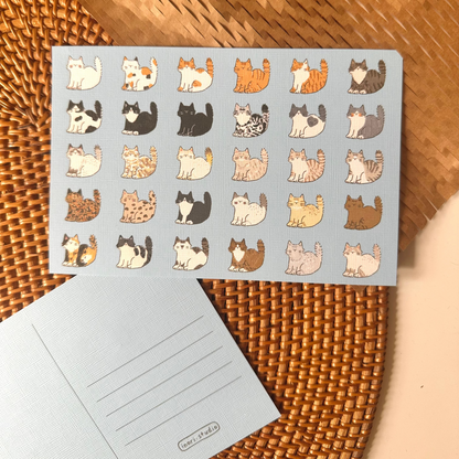 Postcard: Cat Catalog