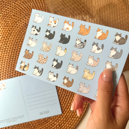 Postcard: Cat Catalog