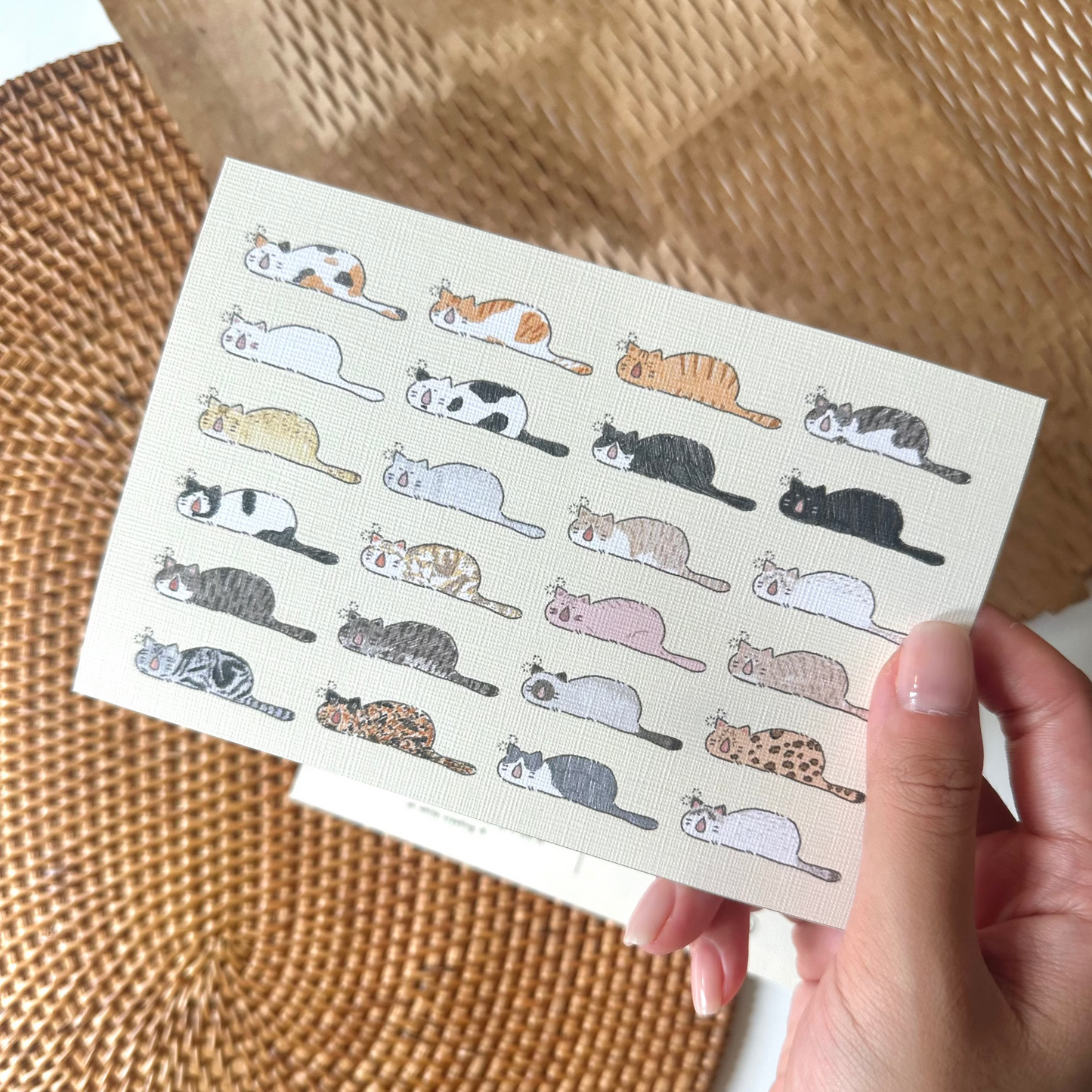 Postcard: Snoring Cats